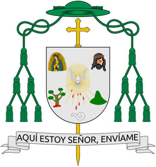 Escudo de Mons. José Hiraís Acosta Beltrán, adaptado de la descripción del original: 1. La Virgen de Guadalupe a quien se tienen un gran amor y devoción en la Diócesis. 2. El glifo, es un sauce, origen del nombre Huejutla en lengua náhuatl. 3. El rostro de Jesús "Totata Jesús" Cristo Rey, bajo cuya protección está [la] Diócesis. 4. El cerro de la Aguja, centro geográfico de la sierra, centro de [la] Diócesis. 5.Al centro el Espíritu Santo, derramando sus siete dones. 6.. Al centro en la parte ba