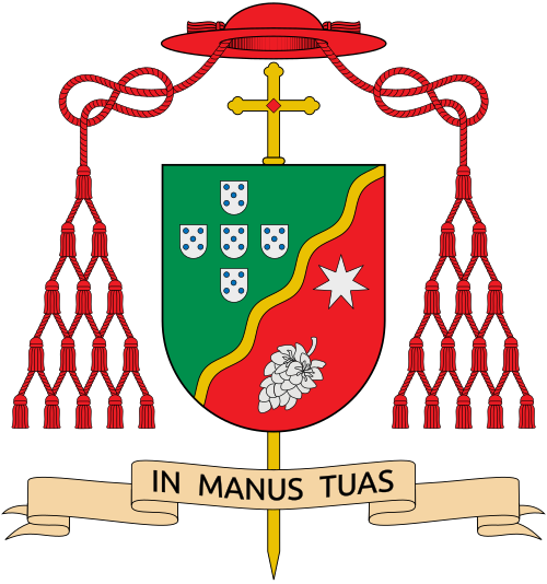 Coat of arms — Cardinal Américo Manuel Alves Aguiar