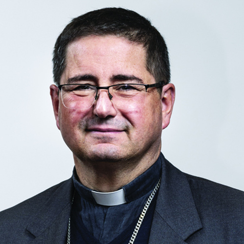 Bishop Nicolò Anselmi