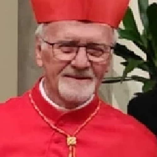 Cardinal Vicente Bokalic Iglic