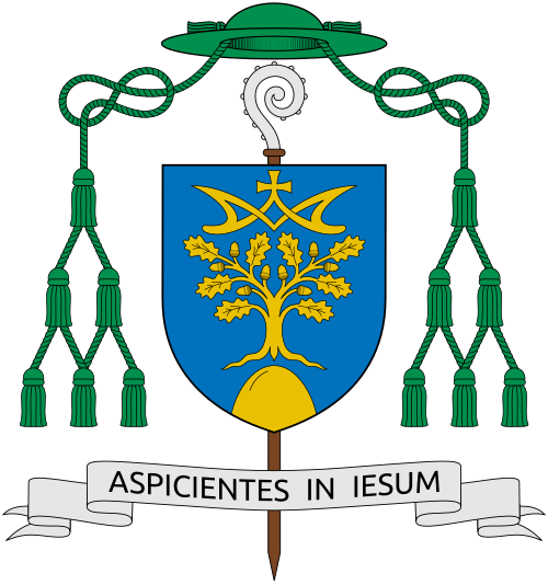 Coat of arms of Bishop French Laurent Michel Camiade, Bishop of Cahors