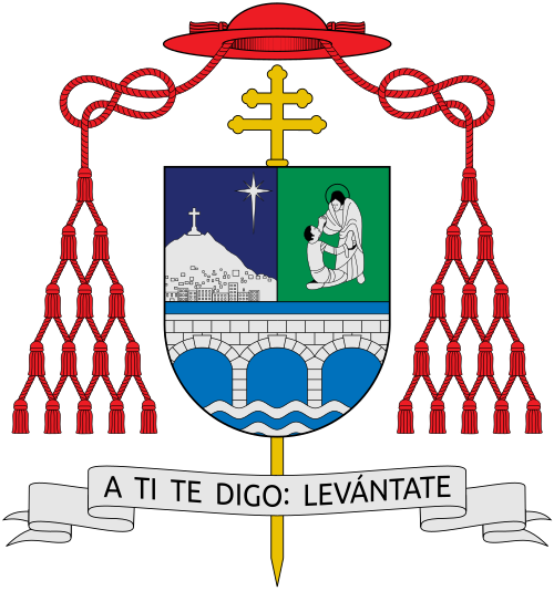 Coat of arms — Cardinal Carlos Gustavo Castillo Mattasoglio