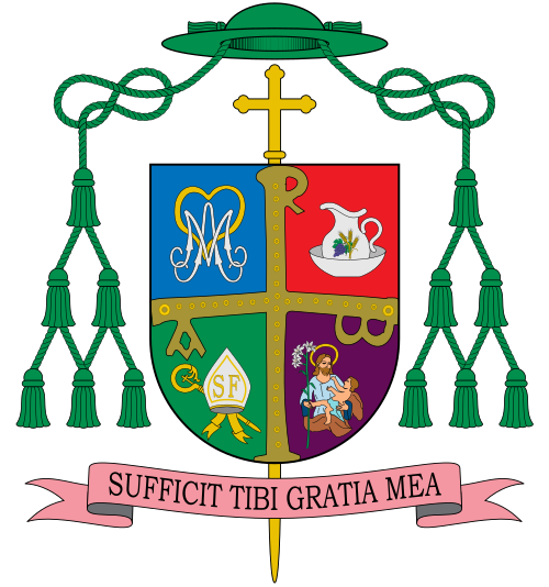 Escudo de Sebastión Chico Martínez