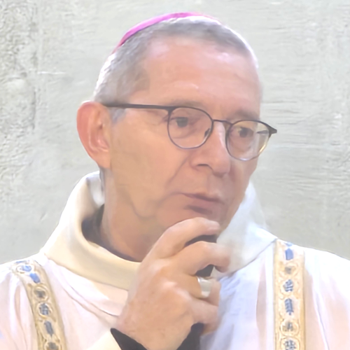 Archbishop Christian Louis André Delarbre