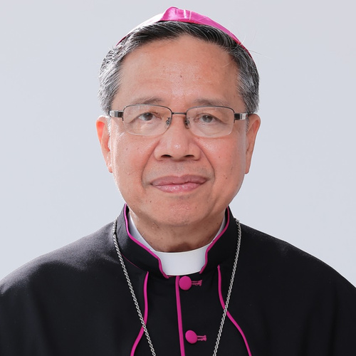 Bishop Joseph Đỗ Mạnh Hùng