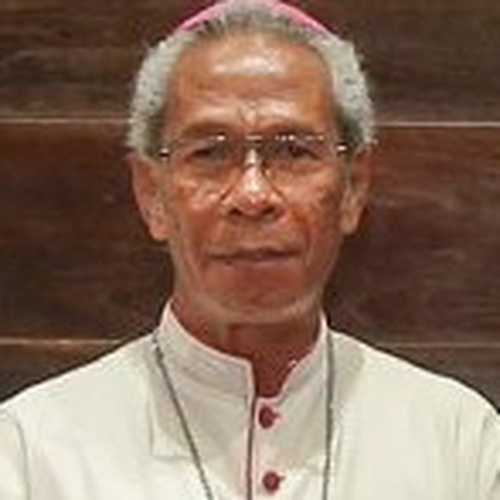 Bishop Norberto do Amaral