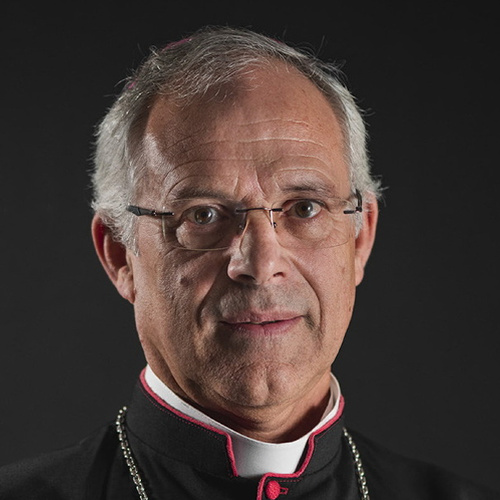 Bishop Armando Esteves Domingues