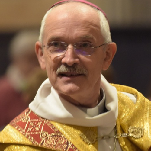 Archbishop François Marie Aimé Marius Fonlupt