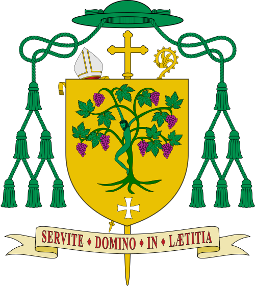 Escudo de Sergi Gordo Rodríguez