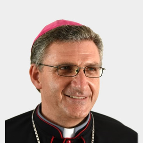 Bishop Damiano Giulio Guzzetti
