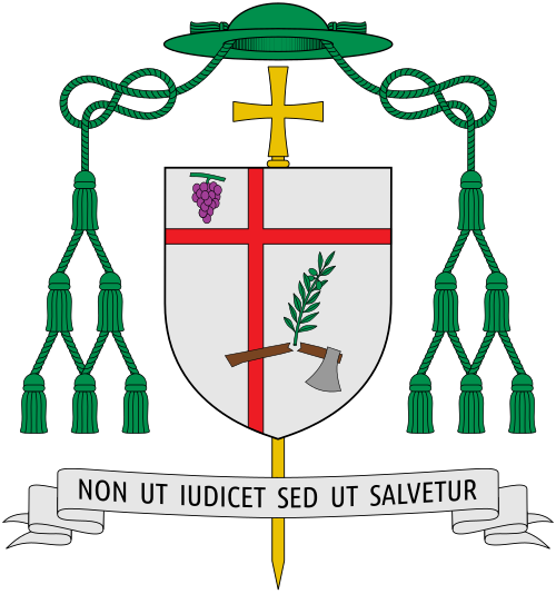 Coat of arms of the Belgian bishop Patrick Hoogmartens, Bishop of Hasselt. Non ut iudicet, sed ut salvetur - Not to judge but to save