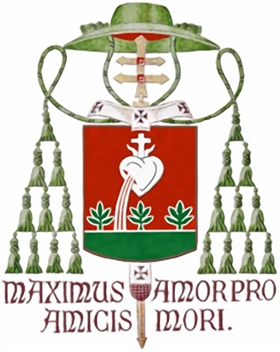 Coat of arms — Archbishop Wilson Tadeu Jönck