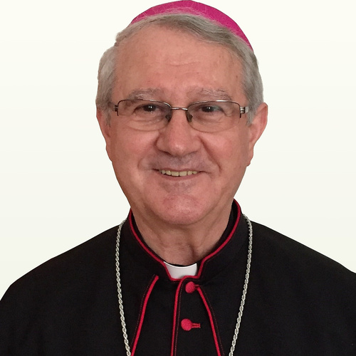 Archbishop Zdenko Križić