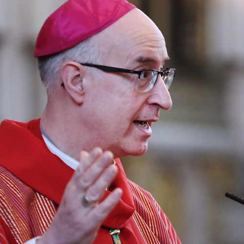 Bishop Johannes Wilhelmus Maria Liesen