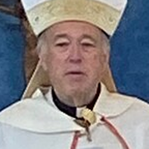 Cardinal Robert Walter McElroy
