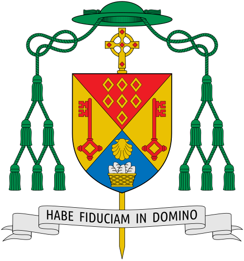 Coat of arms of the Canadian Bishop William McGrattan, Auxiliary Bishop of Toronto. Explanation of the Coat of Arms for Bishop William McGrattan The field of the shield is divided into sections by a heraldic division called a saltire enhanced. This reflects the form of the traditional arms of the name McGrattan. In the "X" is also seen the Greek letter Chi which is the first letter in the Greek for Christ. The colours used may be taken to represent the following: Gold (yellow) and red from the s