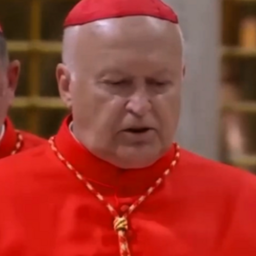 Cardinal Ladislav Nemet
