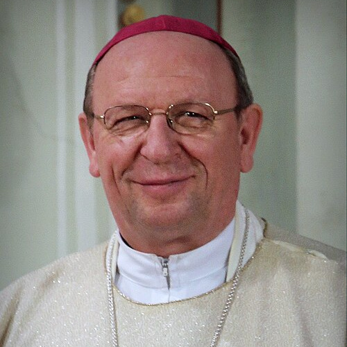 Bishop Ferenc Palánki