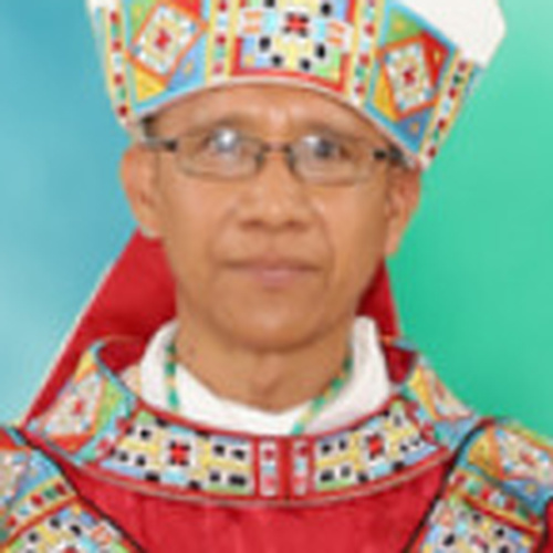Bishop Noel Portal Pedregosa