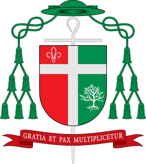 Escudo de Lindomar Rocha Mota