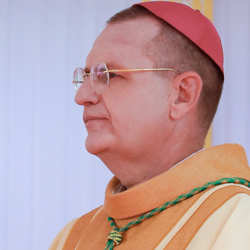 Bishop Olivier Michel Marie Schmitthaeusler
