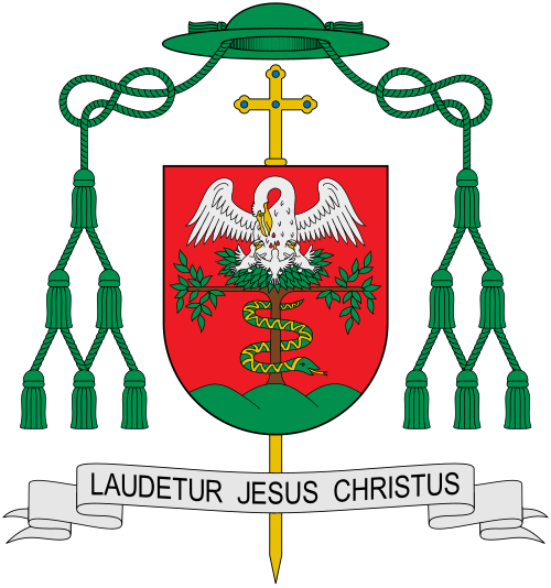 Coat of arms of the bishop Antal Spányi, bishop of Székesfehérvár, Hungary. Reference: uj.katolikus.hu