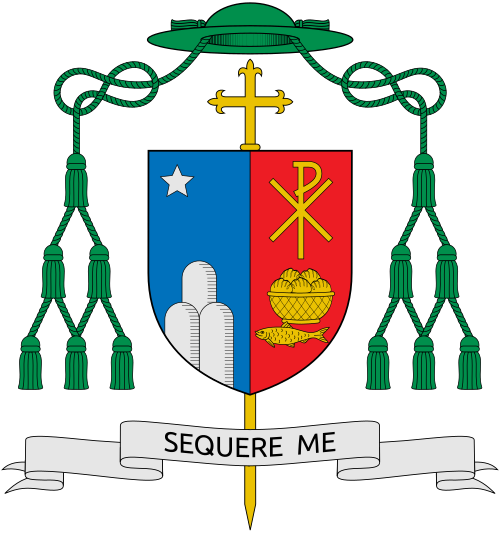 Coat of arms of the argentine bishop Ariel Edgardo Torrado Mosconi, bishop of Nueve de Julio.