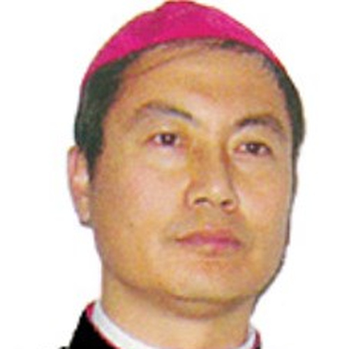 Bishop Joseph Wei Jingyi